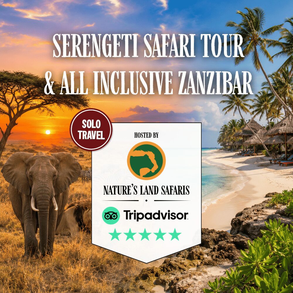Serengeti Safari Tour & Zanzibar (Solos Only)